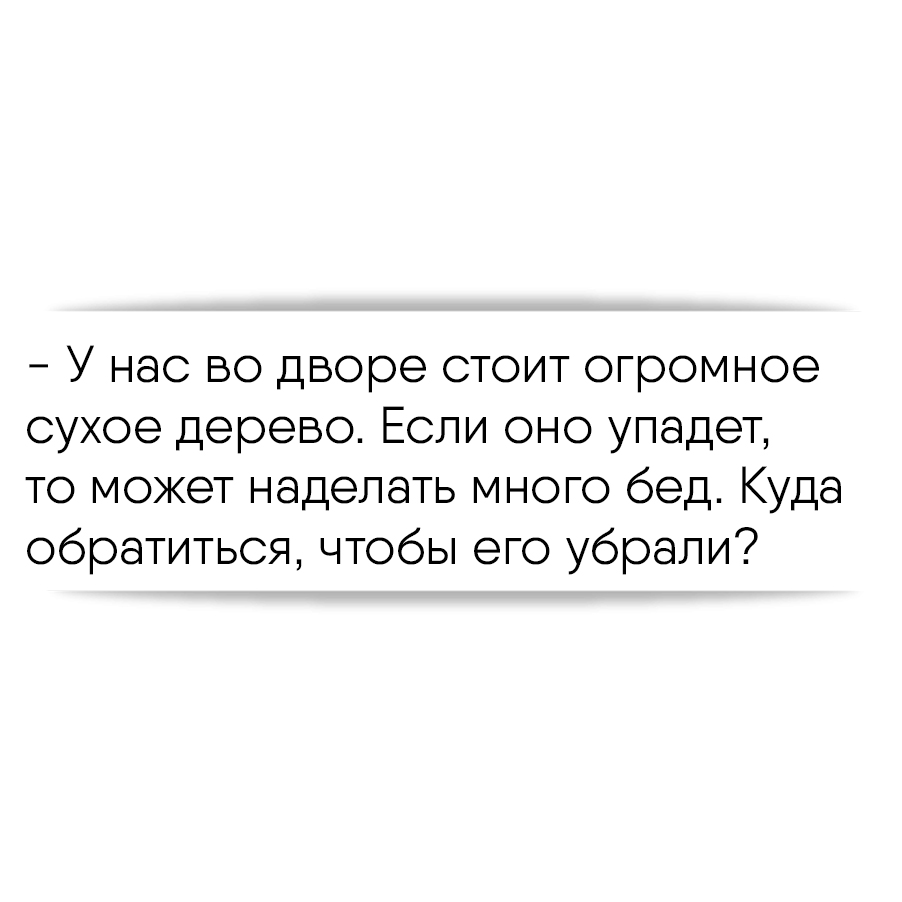 У нас во дворе стоит огромное сухое дерево. Если оно упадет, то может  наделать много бед. Куда обратиться, чтобы его убрали?